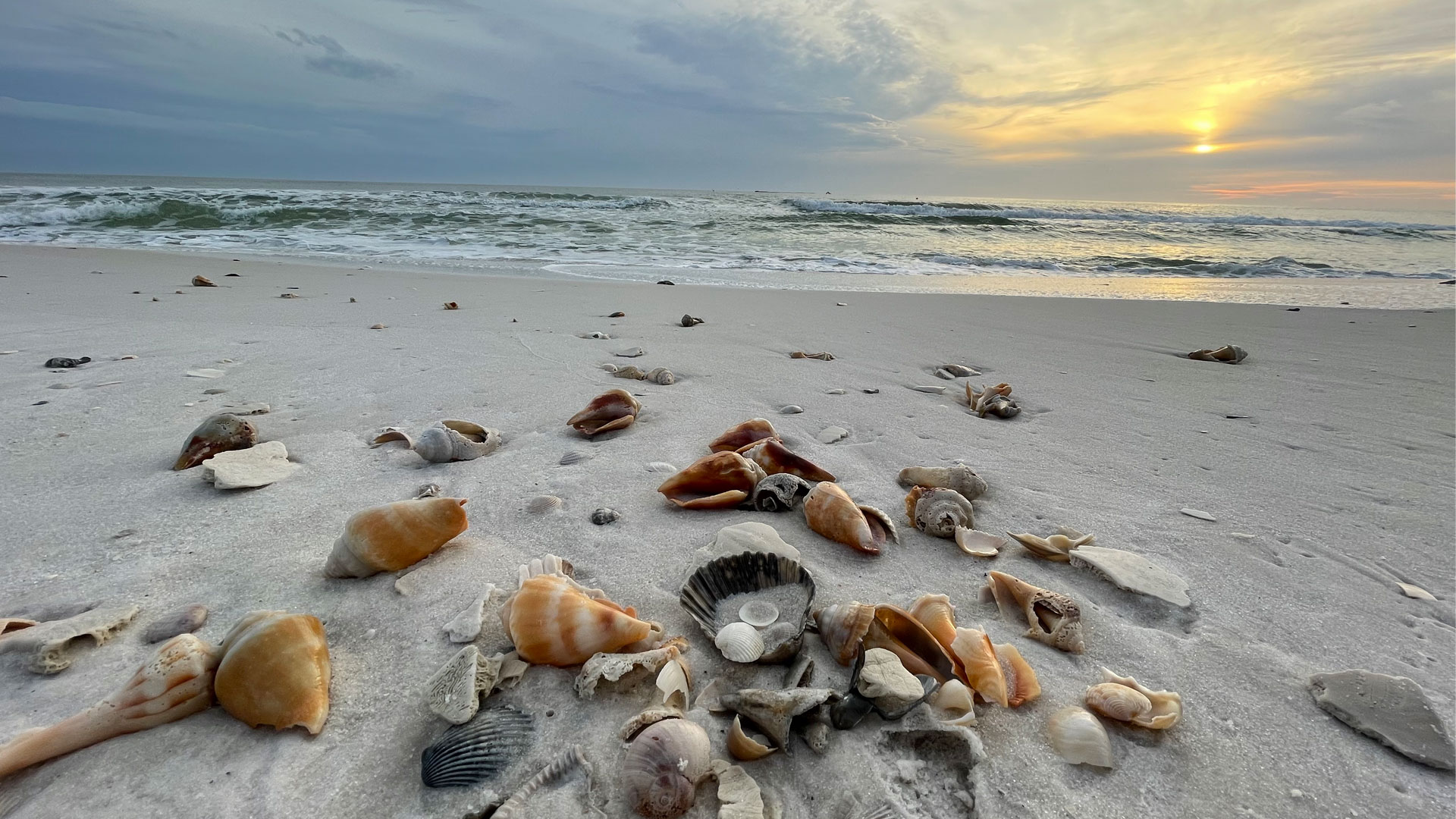 Florida is the most Wonderfully Weird